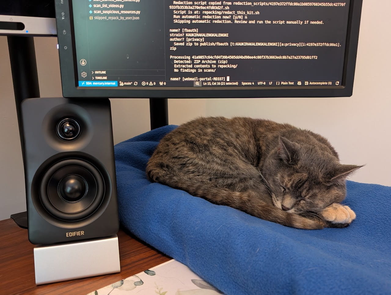 Our cat, Aida, now sleeping happily on the side of my desk on a comfy blanket while I do some work.